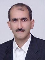 سید مرتضی موسوی 